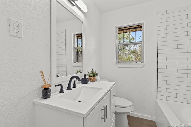 bathroom featuring vanity, toilet, and wood-type flooring