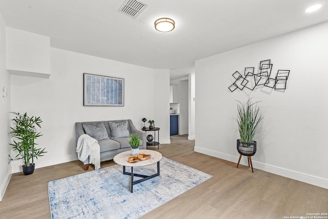 living room featuring hardwood / wood-style flooring