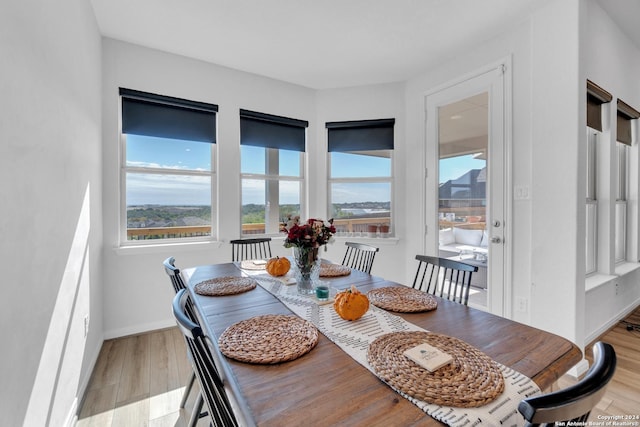 dining room featuring light hardwood / wood-style flooring