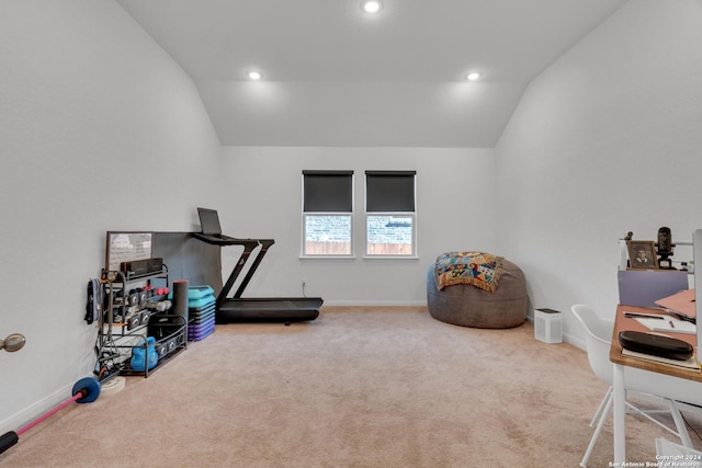 workout area with carpet flooring and lofted ceiling