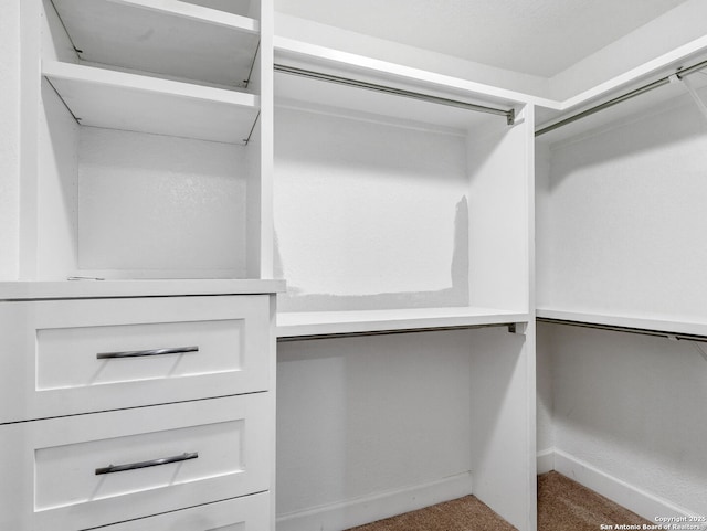 spacious closet featuring carpet flooring