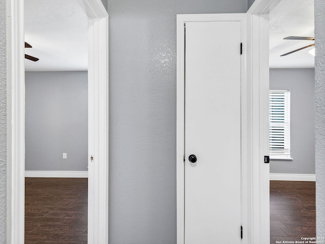 corridor with dark wood-type flooring