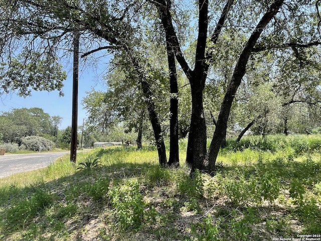 4606 Lee Way, Elmendorf TX, 78112 land for sale