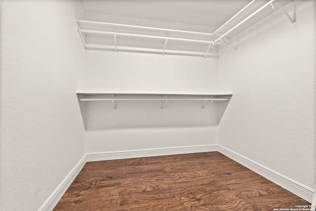 spacious closet featuring hardwood / wood-style flooring