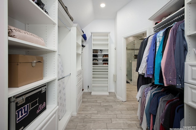 spacious closet with vaulted ceiling