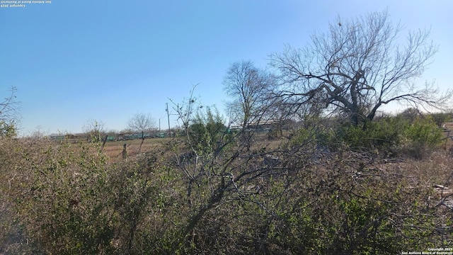 view of local wilderness featuring a rural view