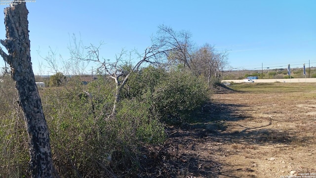 view of local wilderness