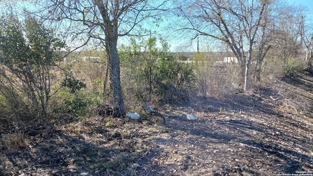 view of local wilderness