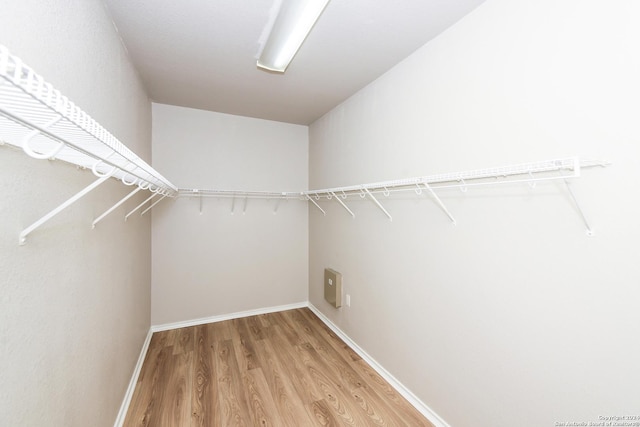 walk in closet with wood-type flooring