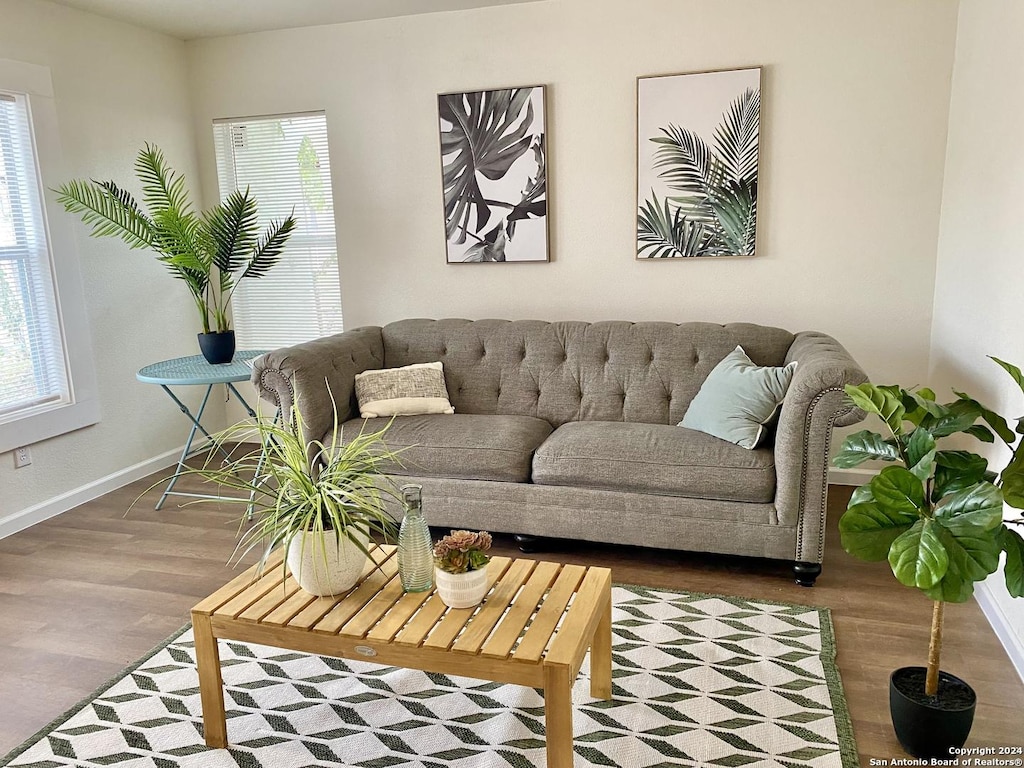 living room featuring wood-type flooring