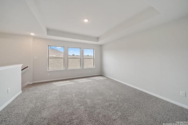 spare room with carpet flooring and a raised ceiling