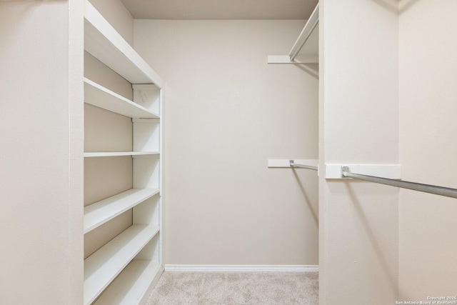 spacious closet with light carpet