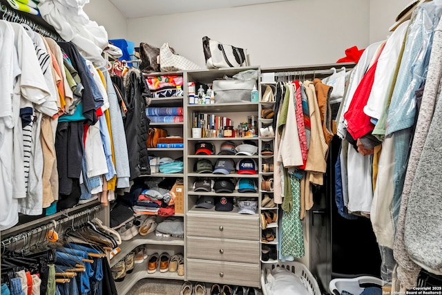 view of walk in closet