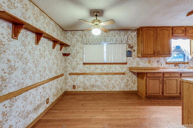 kitchen featuring ceiling fan, light hardwood / wood-style floors, sink, and a textured ceiling