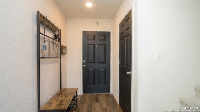 entryway featuring dark wood-type flooring