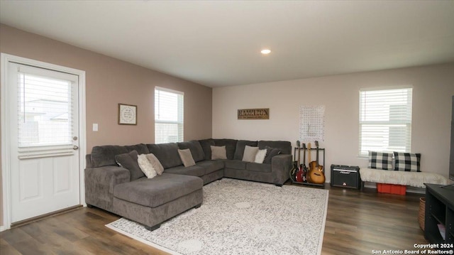 living room featuring dark hardwood / wood-style flooring