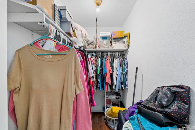 walk in closet featuring hardwood / wood-style floors