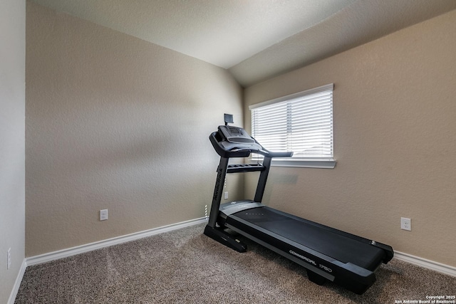 exercise area with carpet and vaulted ceiling