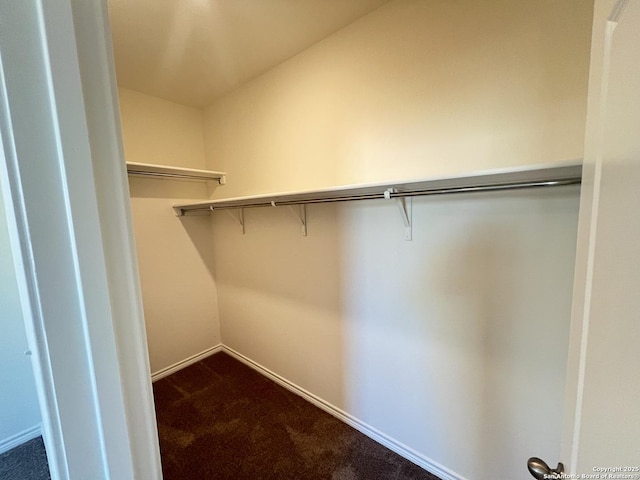 spacious closet featuring carpet flooring