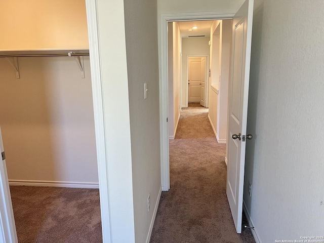 hallway with carpet floors