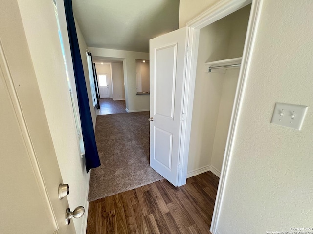 hall with dark hardwood / wood-style flooring