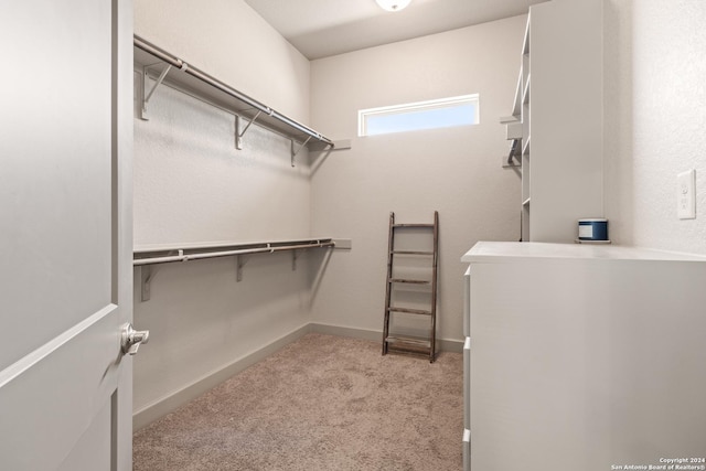 walk in closet with light carpet