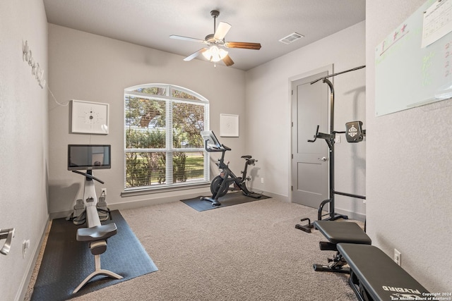 exercise area featuring carpet and ceiling fan