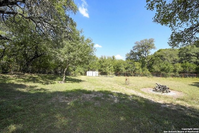 view of yard with a shed