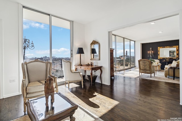 living area with hardwood / wood-style floors and expansive windows