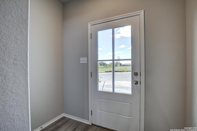 entryway with dark wood-type flooring