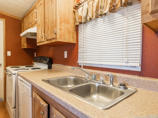 kitchen featuring a textured ceiling, sink, white appliances, and ornamental molding