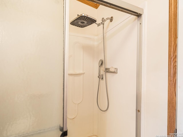 interior space featuring a shower with shower door