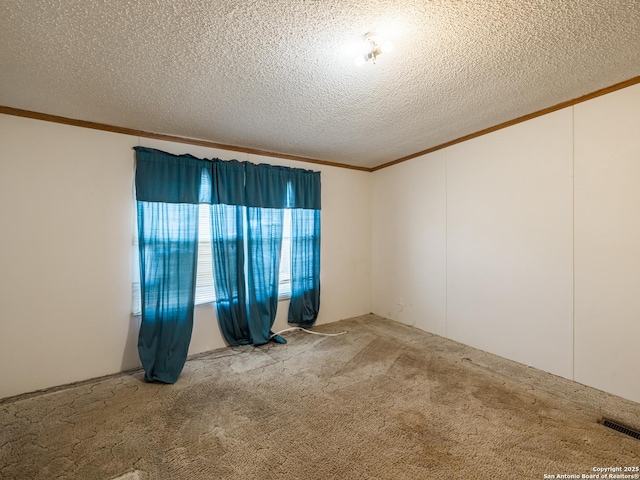 spare room featuring carpet flooring, a textured ceiling, and ornamental molding