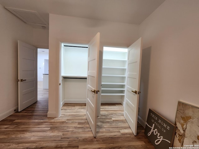 walk in closet featuring hardwood / wood-style flooring