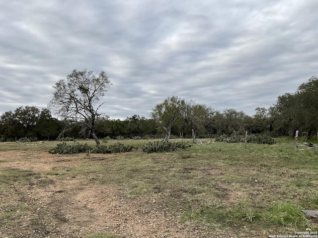 view of local wilderness