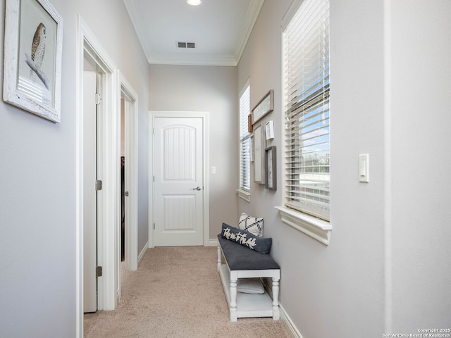 hallway with light carpet, a healthy amount of sunlight, and crown molding