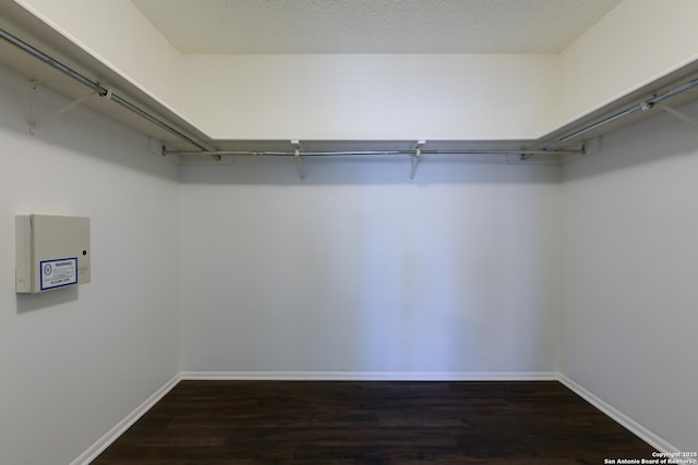 spacious closet with dark hardwood / wood-style floors