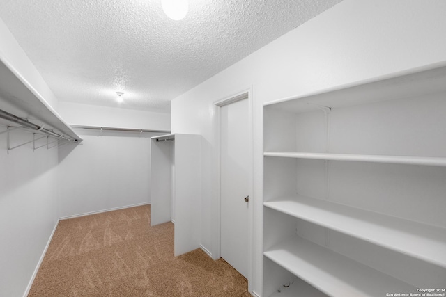 walk in closet with light carpet