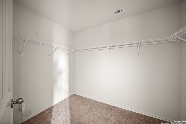 walk in closet featuring carpet floors