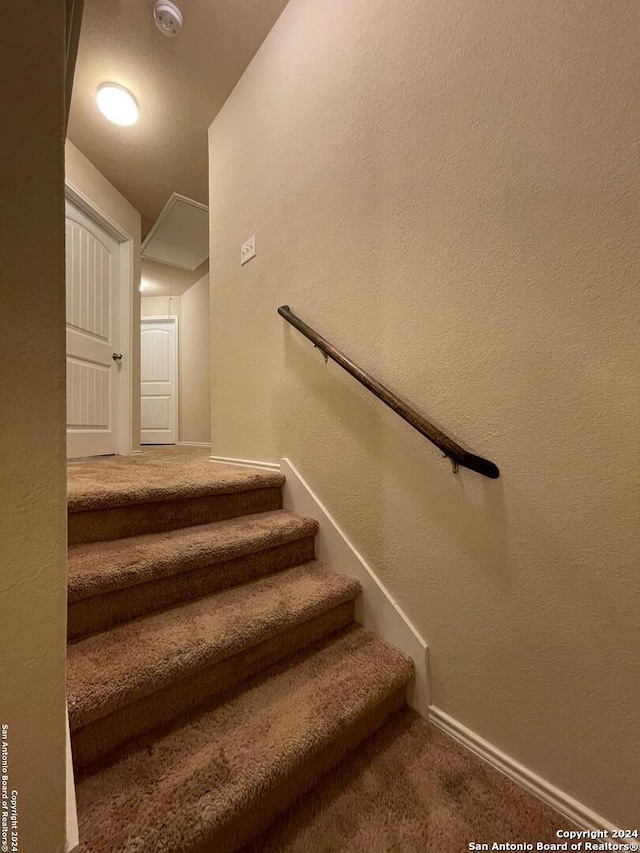 staircase featuring carpet flooring