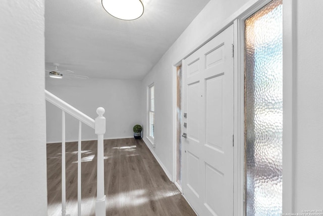 foyer entrance with a textured ceiling, plenty of natural light, and dark wood-type flooring