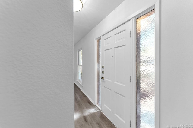 foyer entrance featuring dark wood-type flooring