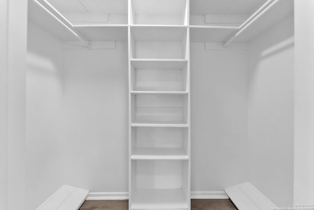 spacious closet with dark wood-type flooring