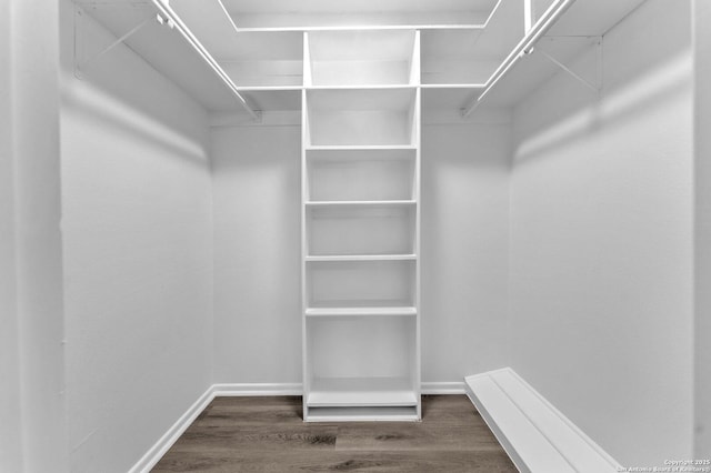 spacious closet featuring dark wood-type flooring