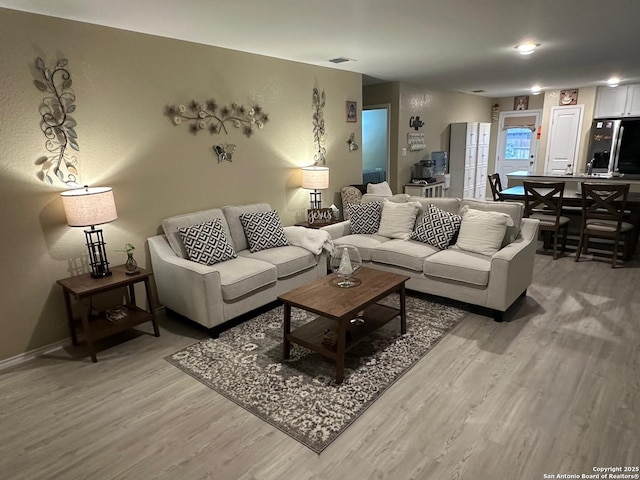 living room featuring wood-type flooring