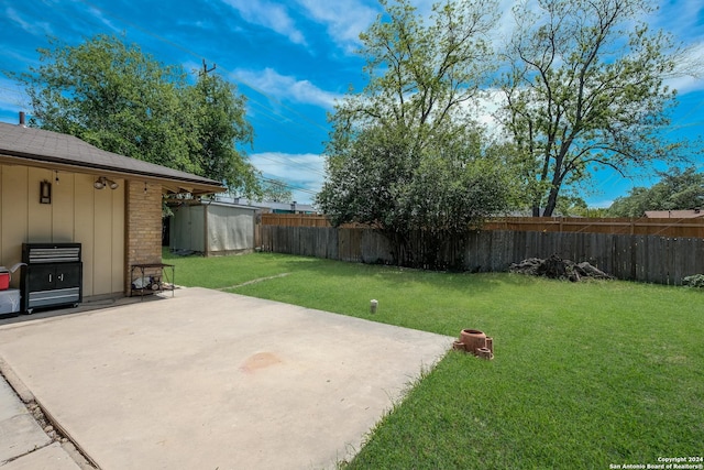 view of yard with a patio area and a storage shed