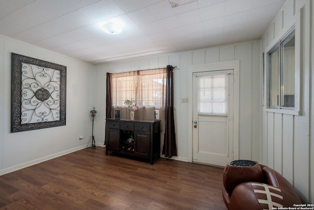 living area with dark hardwood / wood-style floors