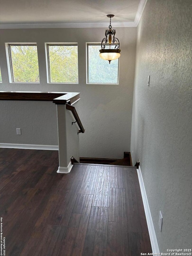 interior space featuring wood-type flooring and ornamental molding