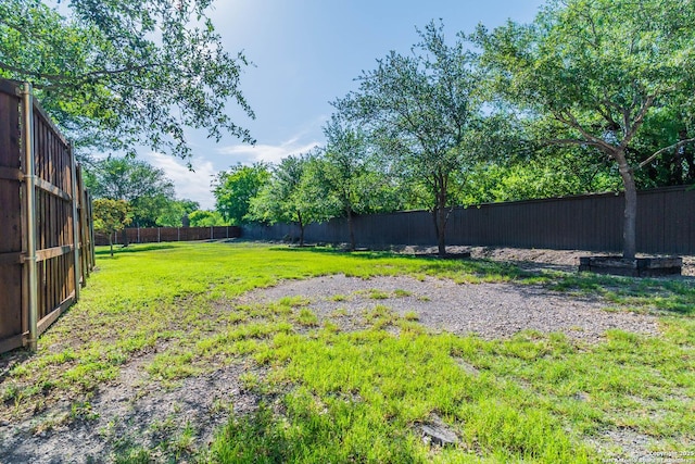12007 Bobbi Way, San Antonio, TX 78245 - view of yard