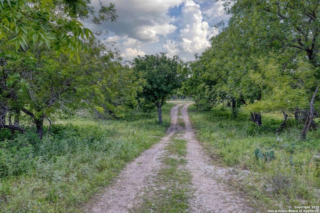 Listing photo 3 for 32378 State Highway 55, Uvalde TX 78801